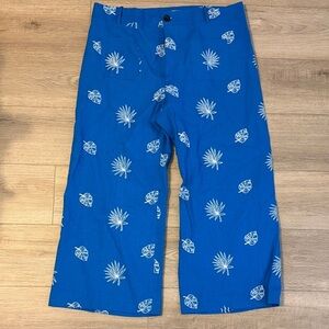 ✨ Zara Blue Linen Dandelion Print Pants | Size XXL | Cropped Wide Leg | NWOT ✨